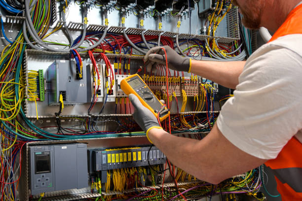 Best Electric Panel Repair  in Nicholson, MS